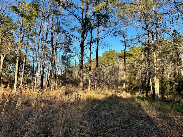 1420 Pinopolis Road, Moncks Corner, SC 29461