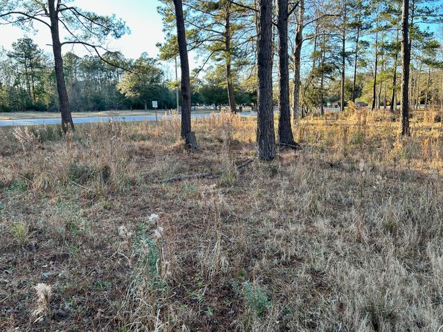 1420 Pinopolis Road, Moncks Corner, SC 29461