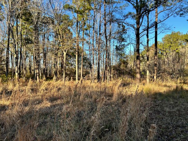 1420 Pinopolis Road, Moncks Corner, SC 29461