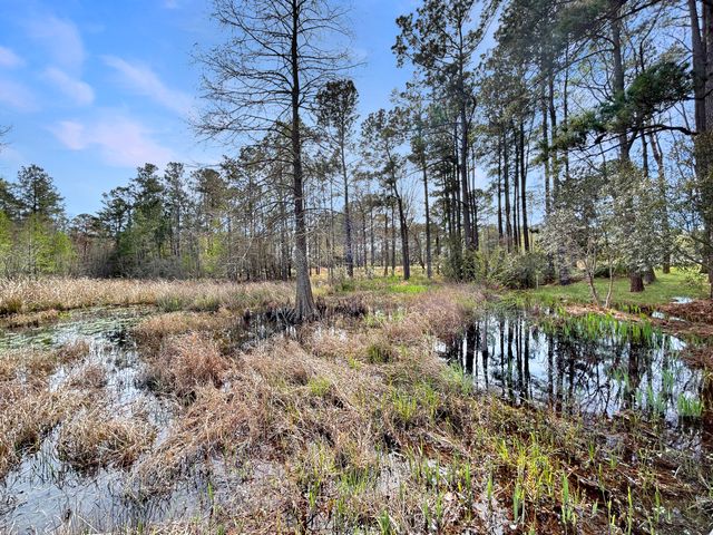 1420 Pinopolis Road, Moncks Corner, SC 29461