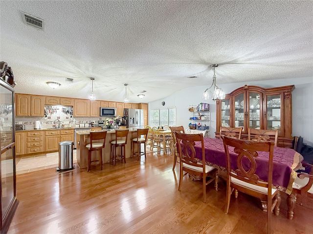 111 MARK AVENUE, Lady Lake, FL 32159