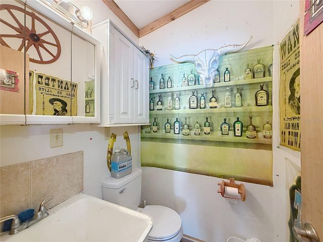 111 MARK AVENUE, Lady Lake, FL 32159