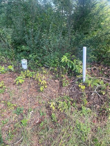 0000 Spirit Bear Drive, Murphy, NC 28906
