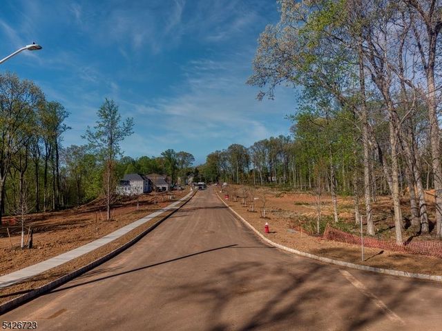 1 Juniper Pointe Trail, Green Brook Twp., NJ 07059
