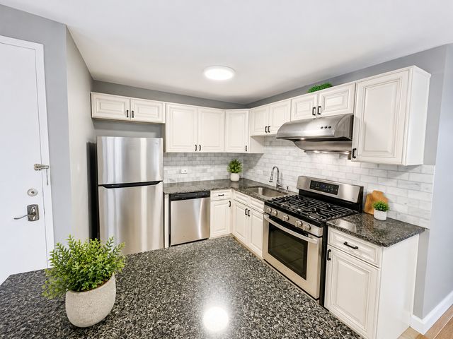 1451 E 55th Street 1030N, Chicago, IL 60615