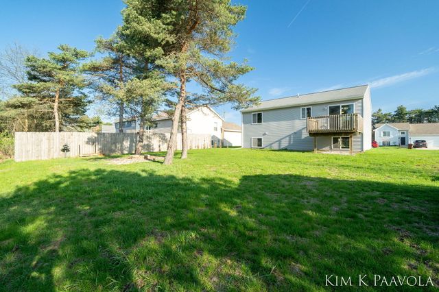 377 White Pine Court, Belding, MI 48809