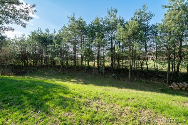 377 White Pine Court, Belding, MI 48809
