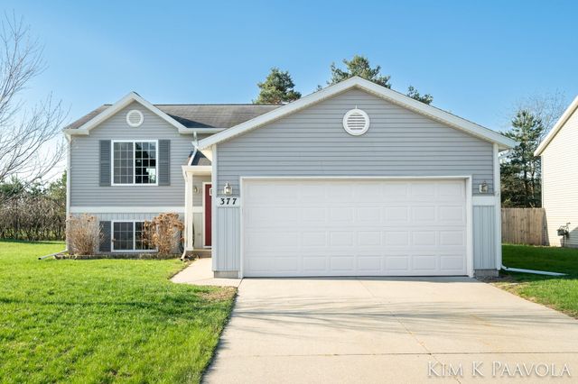 377 White Pine Court, Belding, MI 48809