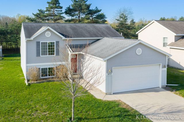 377 White Pine Court, Belding, MI 48809
