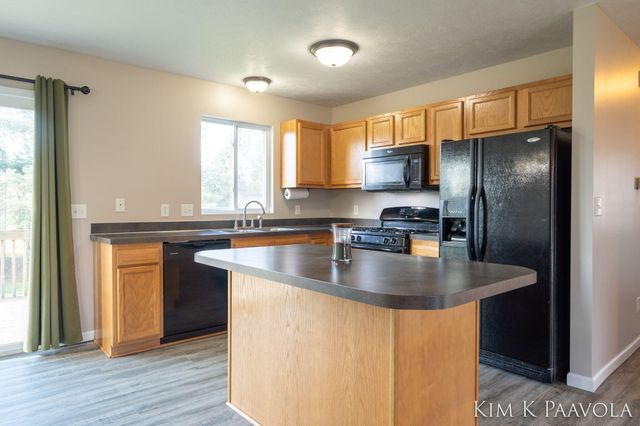 377 White Pine Court, Belding, MI 48809