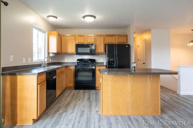 377 White Pine Court, Belding, MI 48809