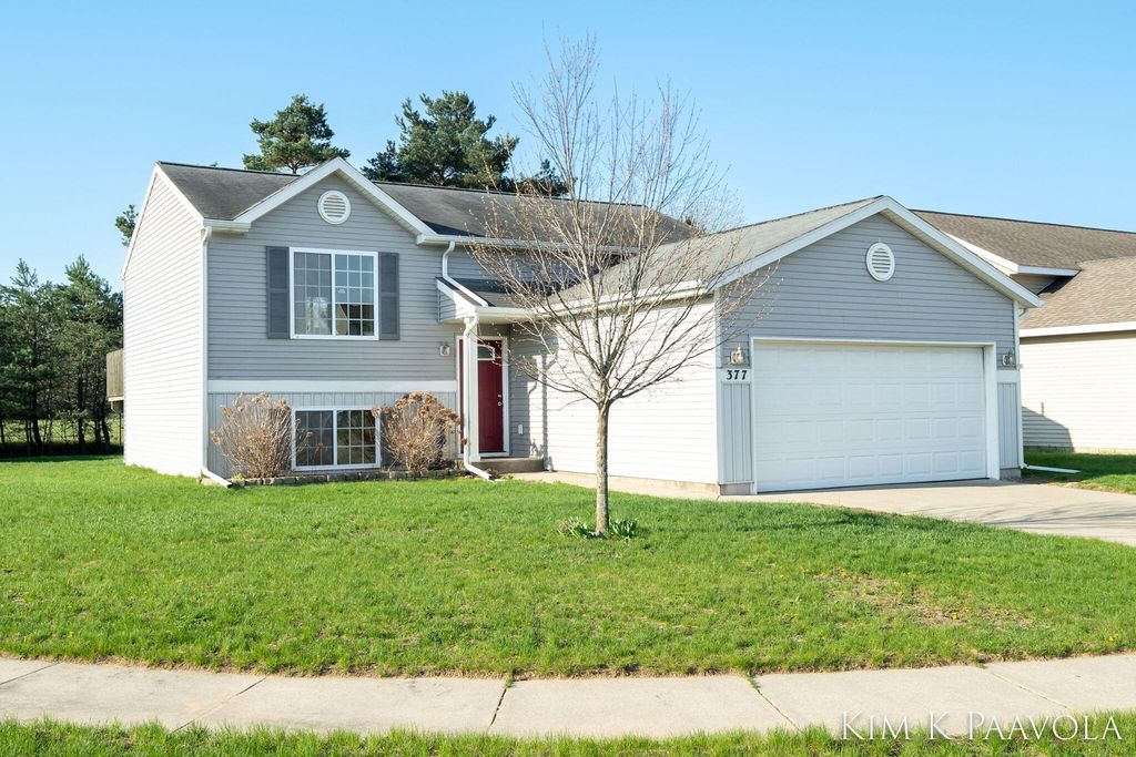 377 White Pine Court, Belding, MI 48809