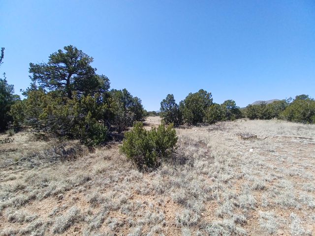 211 Cow Mill Road, Stanley, NM 87056