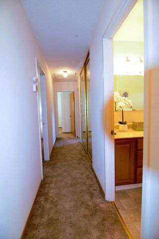 1714 Lobelia Lane, San Jose, CA 95124