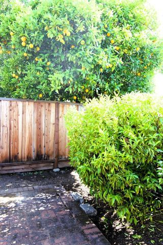 1714 Lobelia Lane, San Jose, CA 95124