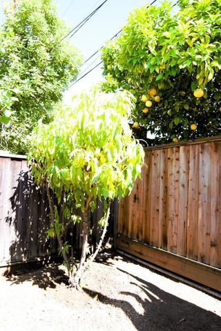 1714 Lobelia Lane, San Jose, CA 95124