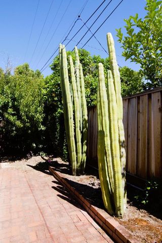 1714 Lobelia Lane, San Jose, CA 95124