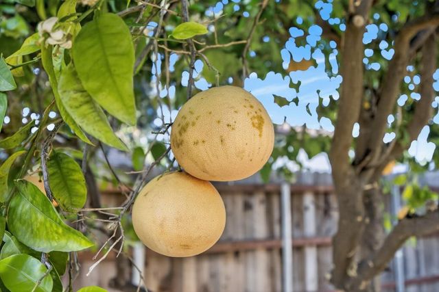 6795 Havenhurst Dr, Sacramento, CA 95831