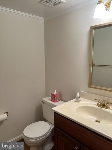 10101 ALSACE CT, Great Falls, VA 22066