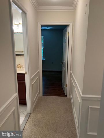 10101 ALSACE CT, Great Falls, VA 22066