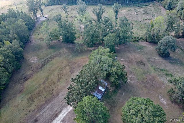 12138 Olde South, Mccalla, AL 35111