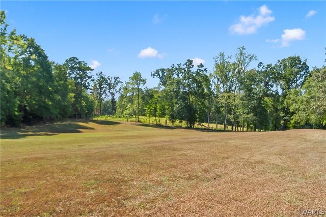 12138 Olde South, Mccalla, AL 35111