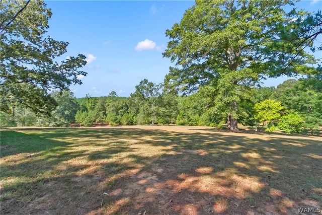 12138 Olde South, Mccalla, AL 35111