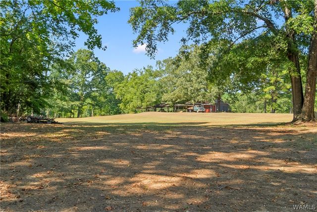 12138 Olde South, Mccalla, AL 35111