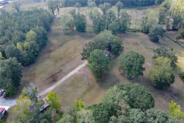 12138 Olde South, Mccalla, AL 35111