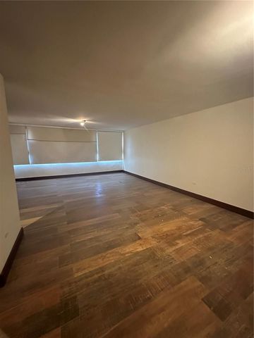 Caoba Street AVENIDA SAN PATRICIO PH1-PH2, Guaynabo, PR 00966