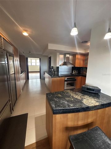 Caoba Street AVENIDA SAN PATRICIO PH1-PH2, Guaynabo, PR 00966