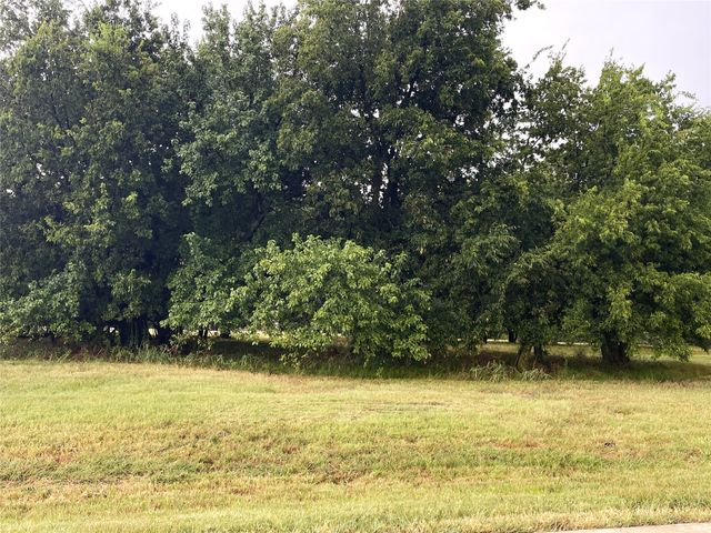 Lot 33B La Paloma Circle, Gordonville, TX 76245