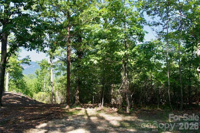 Lot 30 High Rock Ridge 30, Lake Lure, NC 28746