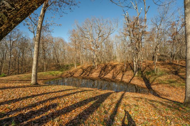 12167 W Farm Road 120, Bois D Arc, MO 65612