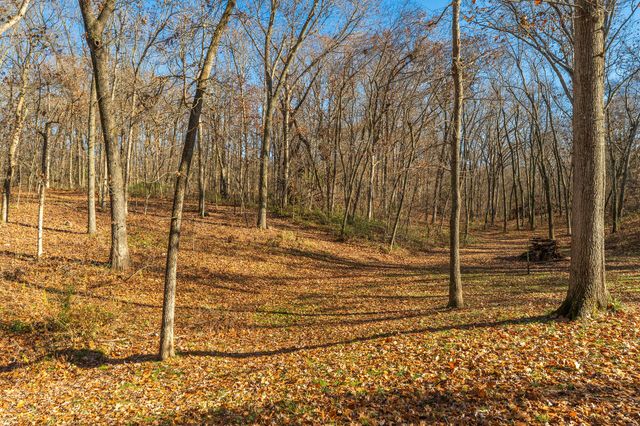 12167 W Farm Road 120, Bois D Arc, MO 65612