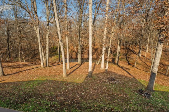 12167 W Farm Road 120, Bois D Arc, MO 65612