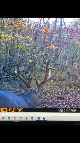 12167 W Farm Road 120, Bois D Arc, MO 65612