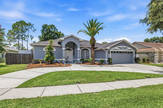 15306 CARROLLTON LANE, Tampa, FL 33624