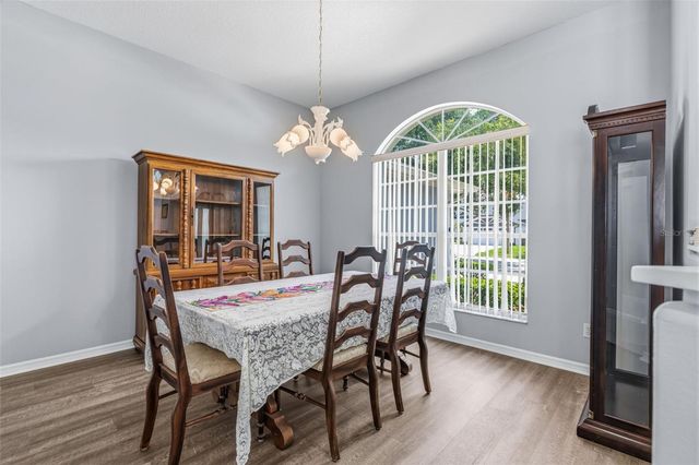 15306 CARROLLTON LANE, Tampa, FL 33624