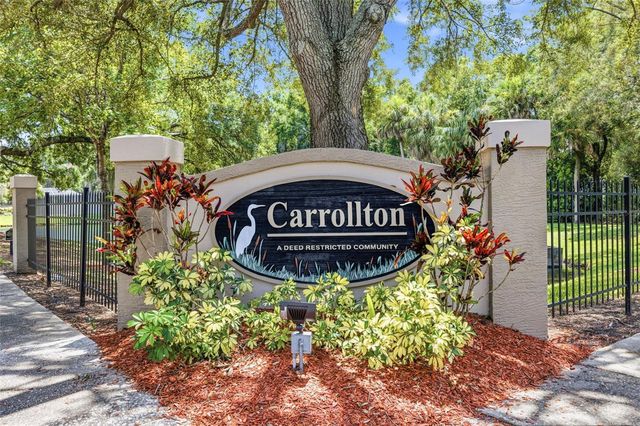 15306 CARROLLTON LANE, Tampa, FL 33624
