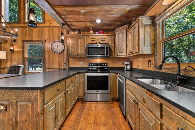 60 Oasis Drive, Blue Ridge, GA 30513