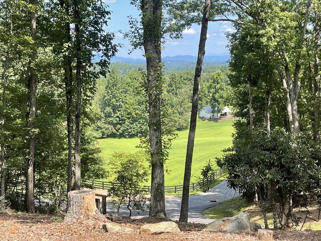 60 Oasis Drive, Blue Ridge, GA 30513
