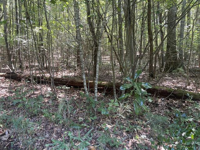60 Oasis Drive, Blue Ridge, GA 30513