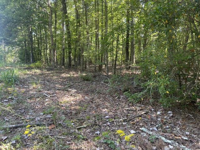 60 Oasis Drive, Blue Ridge, GA 30513