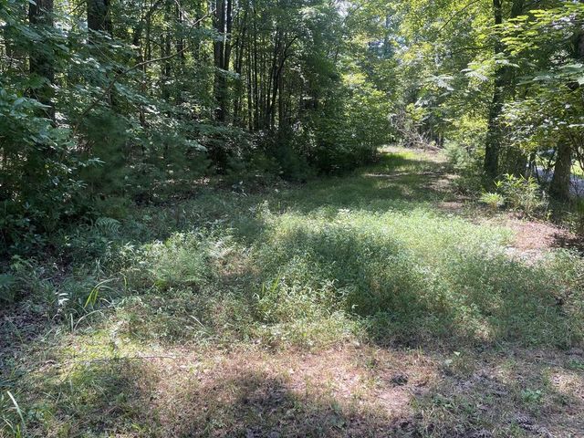 60 Oasis Drive, Blue Ridge, GA 30513