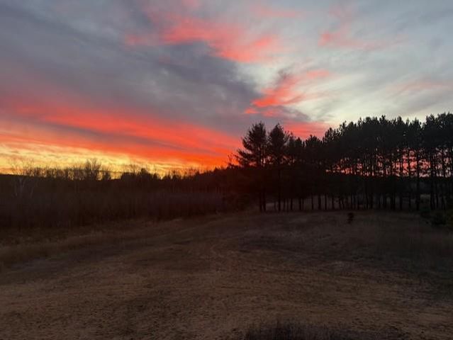 920 COUNTY ROAD GH, Wild Rose, WI 54984