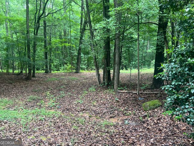 105 Flat Creek Court, Fayetteville, GA 30214