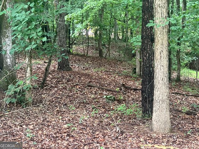105 Flat Creek Court, Fayetteville, GA 30214