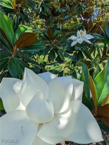 2623 Somerville LOOP 508, Cape Coral, FL 33991