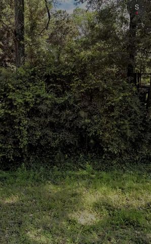 407 Pin Oak Drive, Highlands, TX 77562